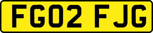 FG02FJG