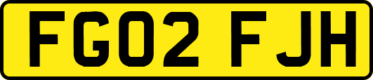 FG02FJH