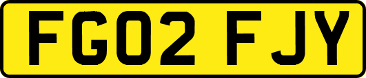 FG02FJY