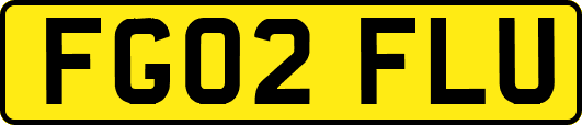 FG02FLU