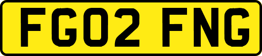 FG02FNG