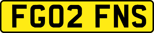 FG02FNS