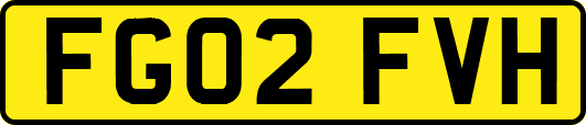 FG02FVH