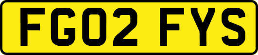 FG02FYS