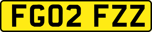 FG02FZZ