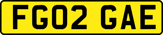 FG02GAE