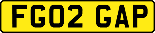 FG02GAP