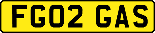 FG02GAS