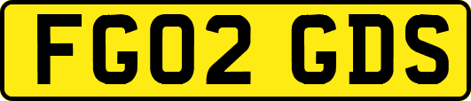 FG02GDS