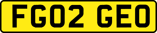 FG02GEO