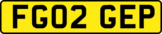 FG02GEP