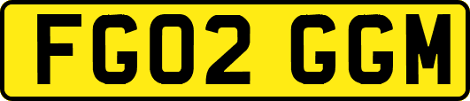 FG02GGM