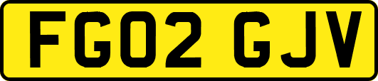 FG02GJV