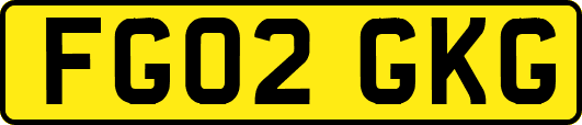 FG02GKG