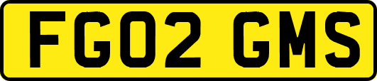 FG02GMS