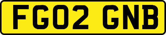 FG02GNB