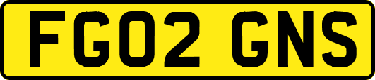 FG02GNS