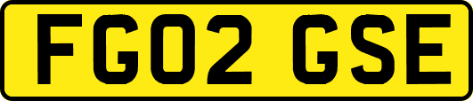 FG02GSE