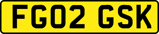 FG02GSK