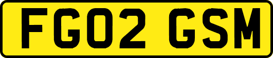 FG02GSM