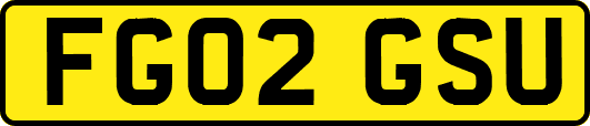 FG02GSU