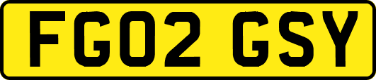 FG02GSY