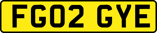 FG02GYE