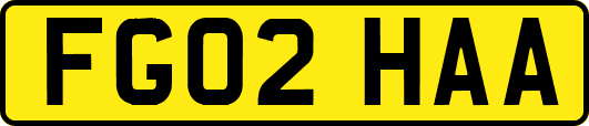 FG02HAA