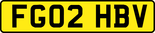 FG02HBV