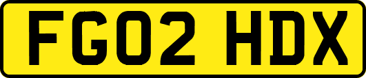FG02HDX