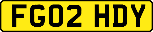 FG02HDY
