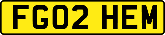 FG02HEM