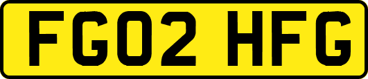 FG02HFG