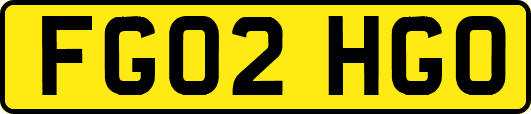 FG02HGO