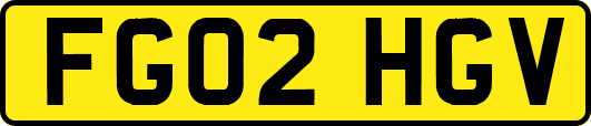 FG02HGV