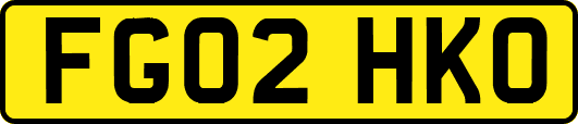 FG02HKO