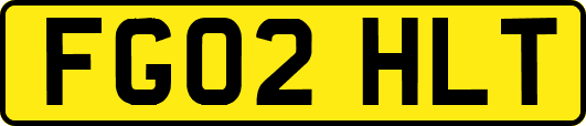 FG02HLT