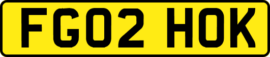 FG02HOK