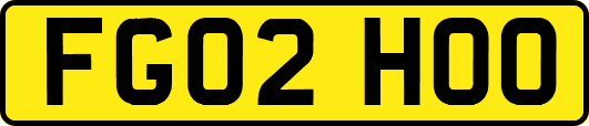 FG02HOO