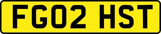 FG02HST