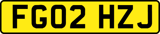 FG02HZJ