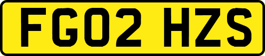 FG02HZS