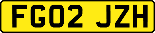 FG02JZH