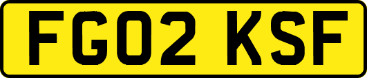 FG02KSF