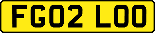 FG02LOO