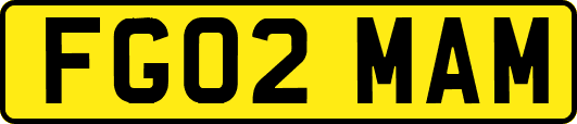 FG02MAM