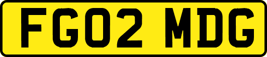 FG02MDG