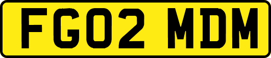 FG02MDM