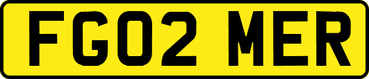 FG02MER