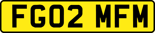 FG02MFM